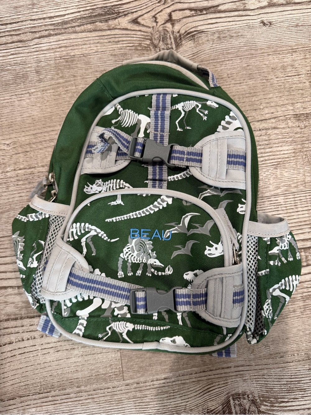 Pottery Barn Kids DinoGlow backpack “mini”